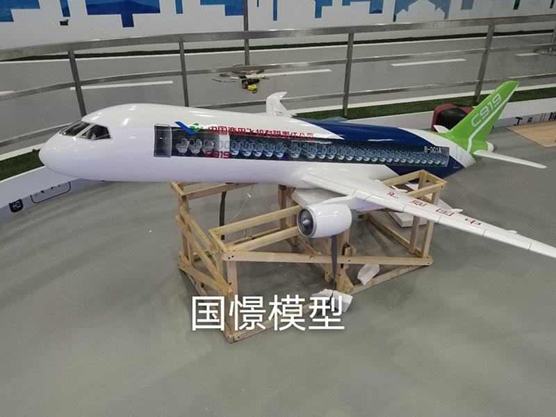 广汉县飞机模型